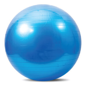 Yoga Ball Blue 55cm