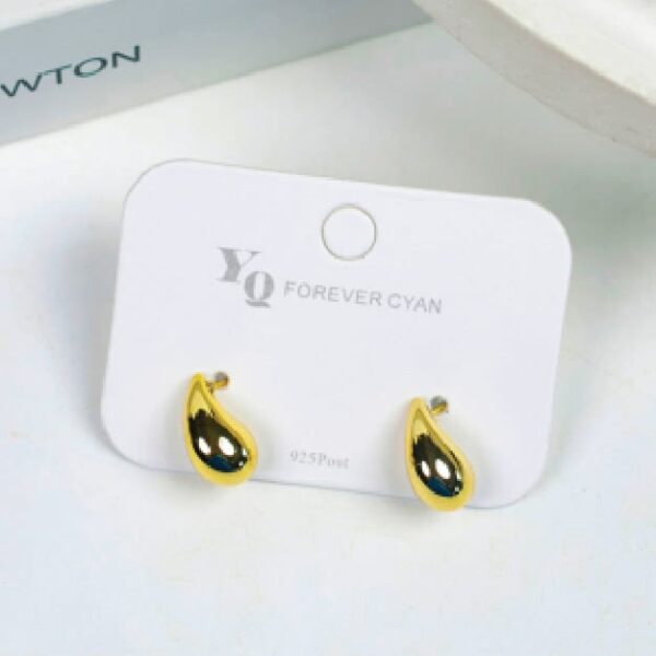Long Internet Celebrity Gold Drop Earrings (Small)