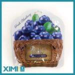 Fresh Series Blueberry Mask