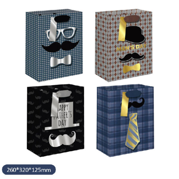 Fathers Day Collection Gift Bag Medium