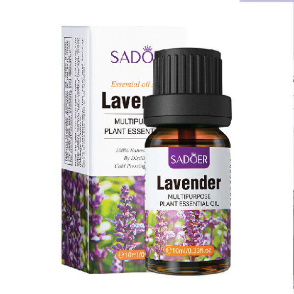 SD96543 Lavender Essential Oil SDO