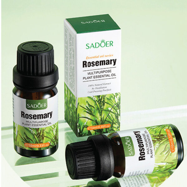 SD96574 Rosemary Essence Oil SDO