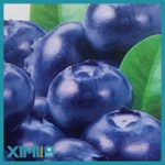 Fresh Series Blueberry Mask - Image 2