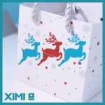 Winter Collection Gift Bag (100*100*100mm) - Image 3