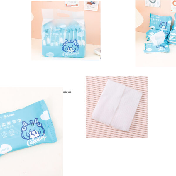 Wet Wipes (10Pcs*10 Packs) - Cai Wenji