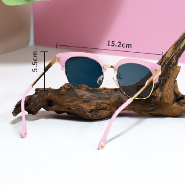 58205 Pink Solar Polarizer