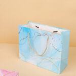 Xx6126 Ribbon Medium Gift Bag (Horizontal 245X195X95) 4040400155