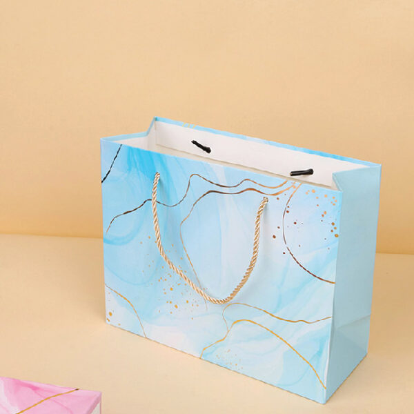 Xx6126 Ribbon Medium Gift Bag (Horizontal 245X195X95) 4040400155