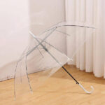 Simple Transparent Umbrella
