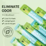 SD94032 Mint Mouthwash SDO - Image 2